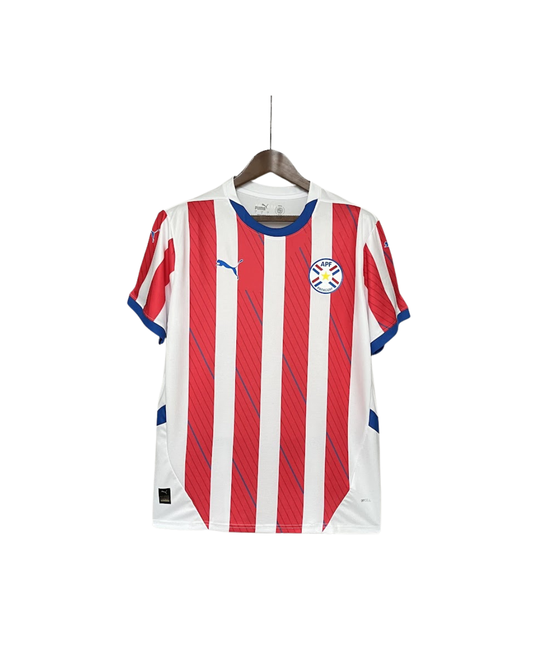 Camiseta Oficial Selección de Paraguay Local 2026 - BBORA